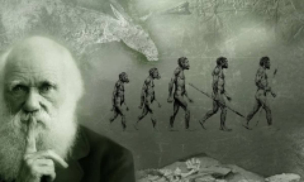 Tiến hóa do chọn lọc tự nhiên là gì và nó có sai hay không?