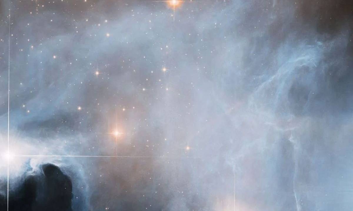 Săn lùng các sao T-Tauri trong một tinh vân tối