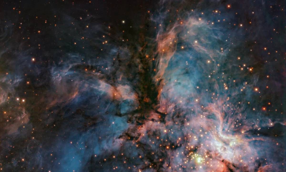 Một con diều hâu giang rộng đôi cánh trong hình ảnh mới của VLT