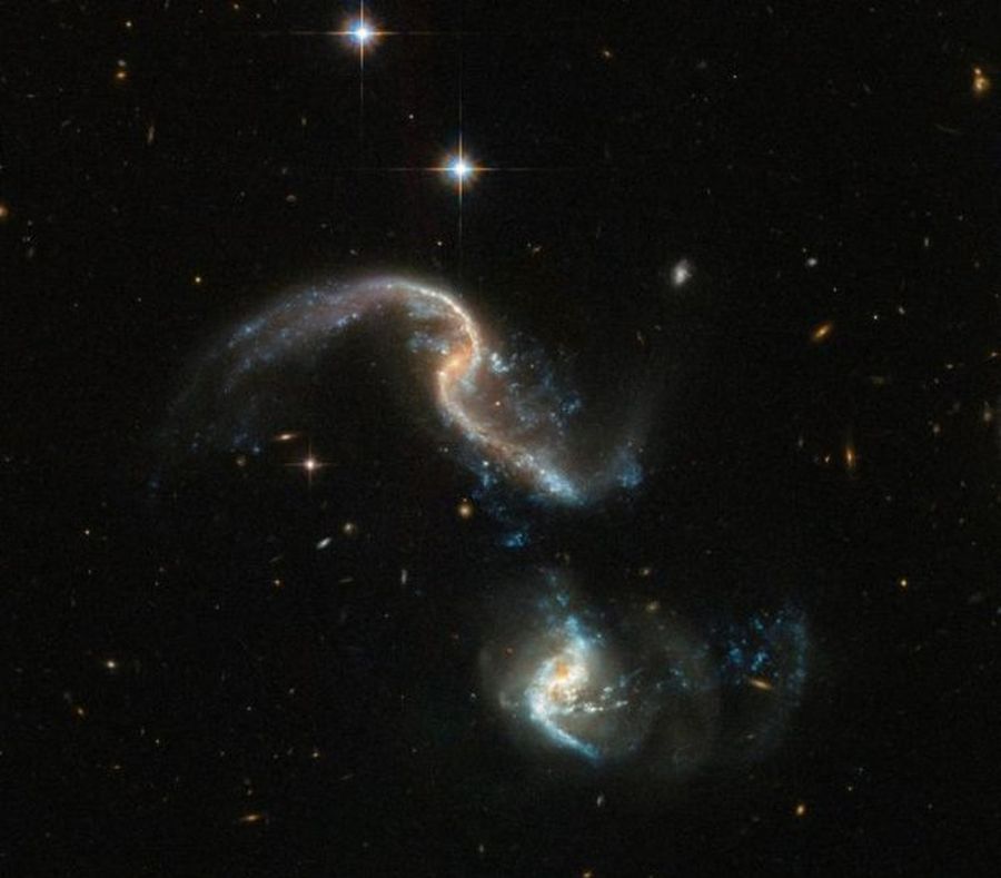 arp 256