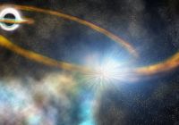 Black hole shred a star