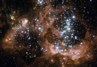 M33 star formation