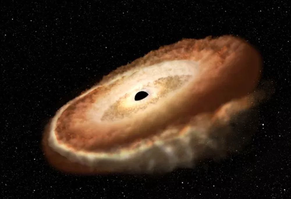 Black hole 'spaghettified' a star
