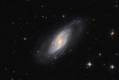 NGC 9684