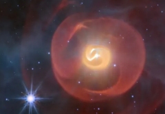 Apep - JWST