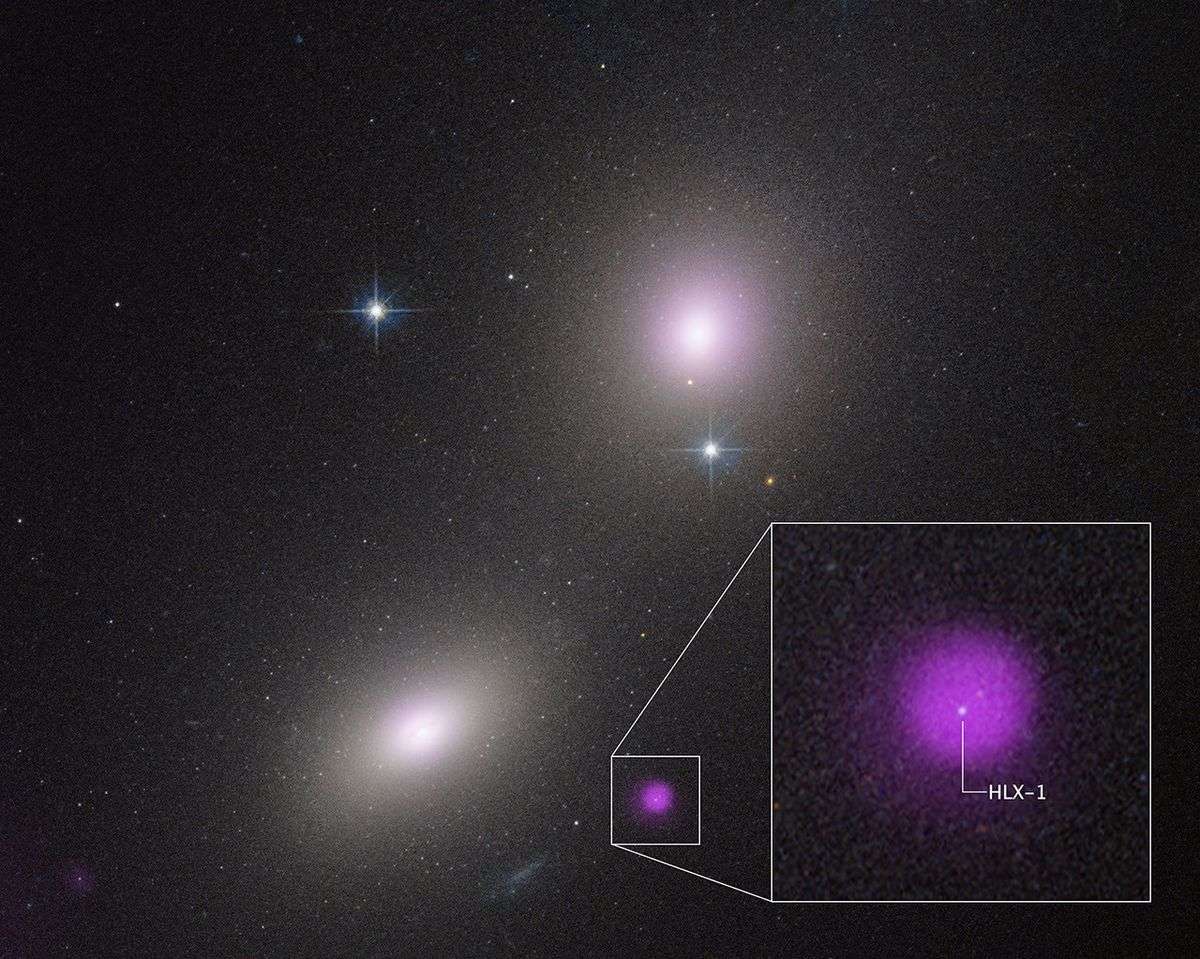HLX-1