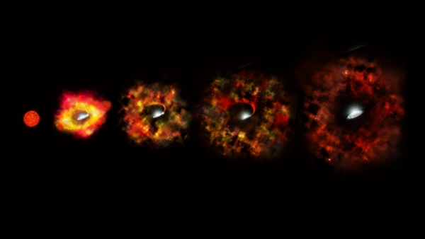 supernova blackhole