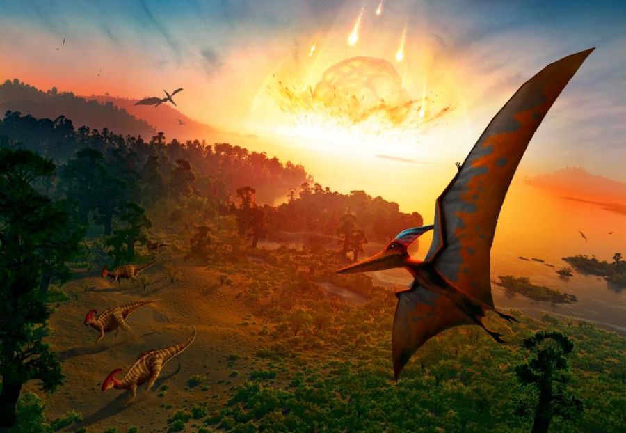 Asteroid killed dinosaurs